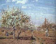 Camille Pissaro Orchard in Bloom at Louveciennes Sweden oil painting artist